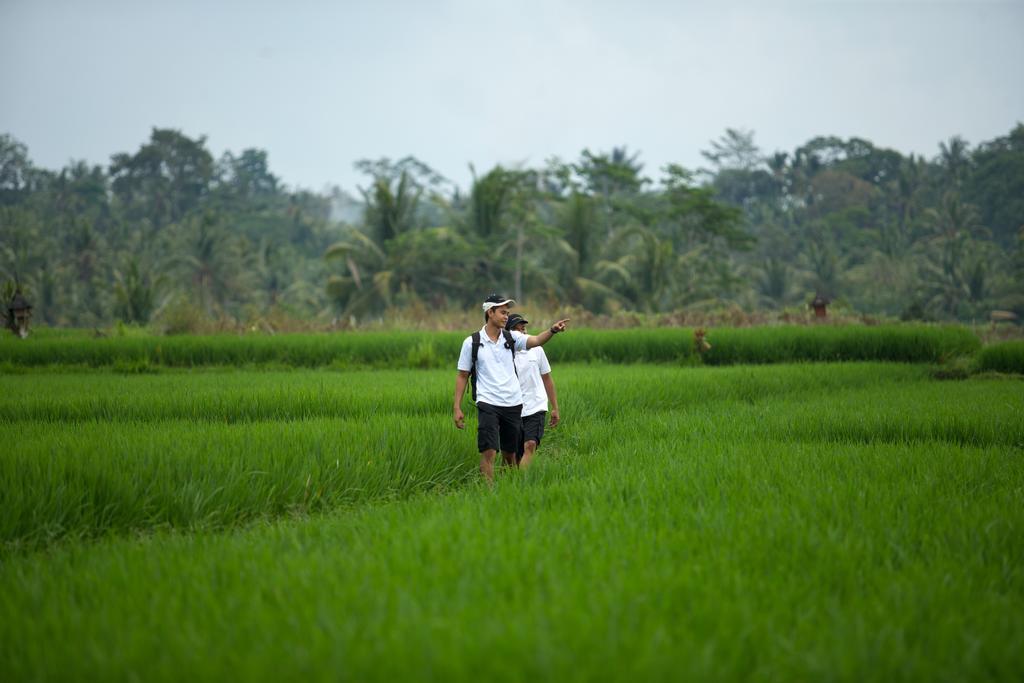 Villa The Samaya Ubud (Bali)